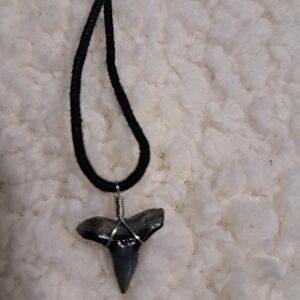 Black Cord Necklace with Shark Tooth Pendant